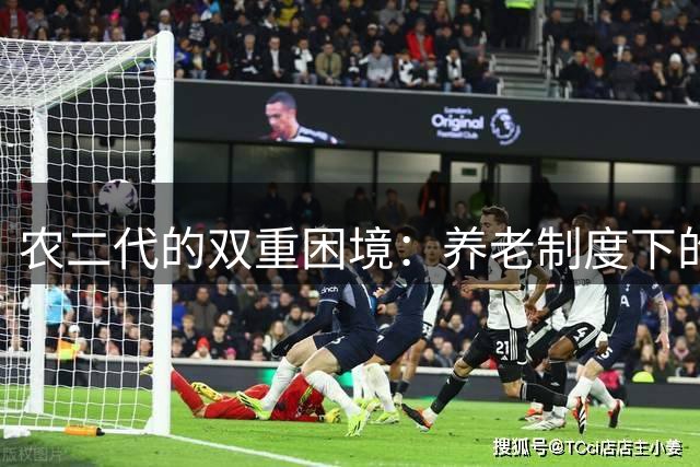 农二代的双重困境：养老制度下的城乡裂痕
